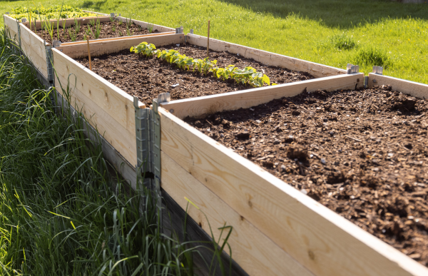 Garden Bed