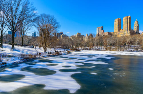 winter in central park of nyc