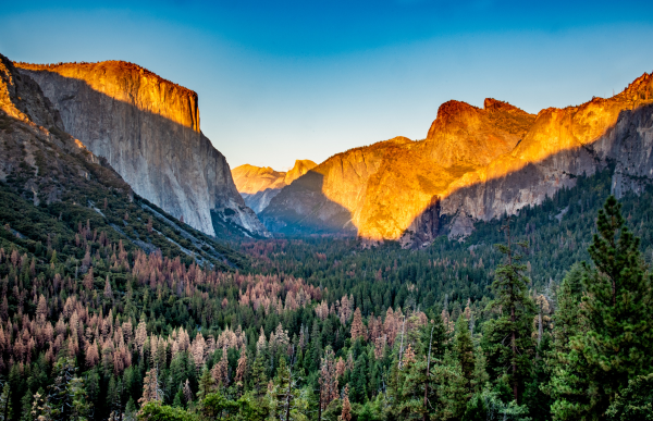 Yosemite National Park showing mountains and trees below