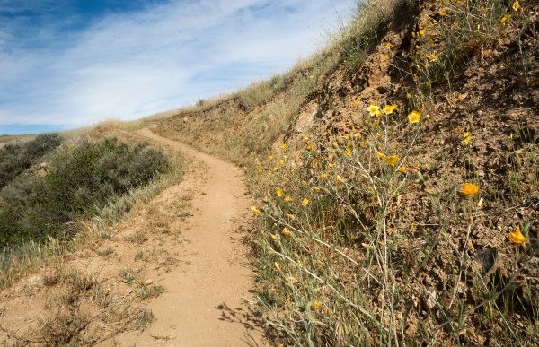 Dirt Hiking trail